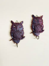 Load image into Gallery viewer, Owl Wall Hooks (pair)
